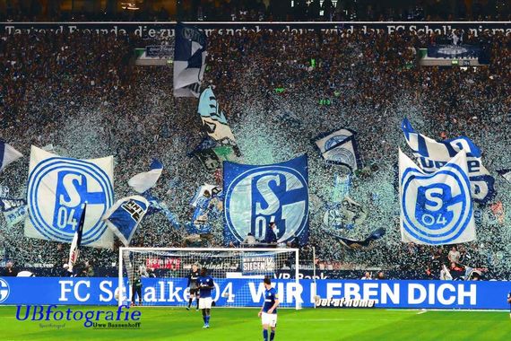 FC Schalke 04 vs 1. FC Köln (1-1) (4)