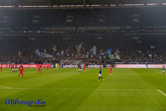 FC Schalke 04 vs 1. FC Köln (1-1) (5)