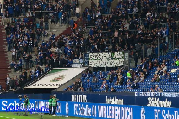 FC Schalke 04 vs 1. FC Köln (1-1) (7)