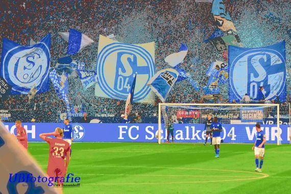 FC Schalke 04 vs 1. FC Köln (1-1) (13)