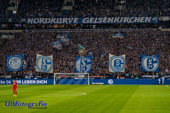 FC Schalke 04 vs 1. FC Köln (1-1) (15)