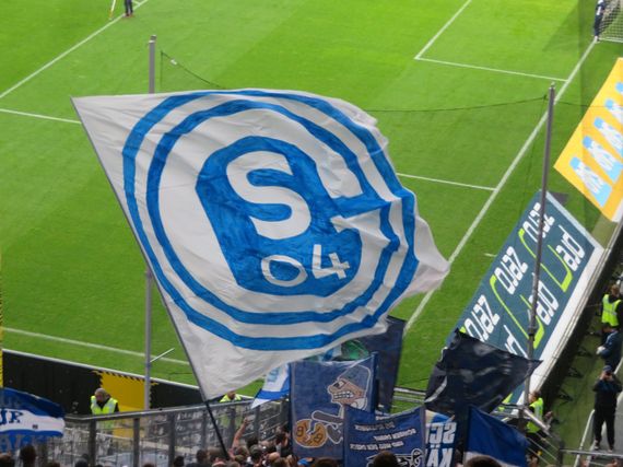TSG Hoffenheim vs FC Schalke 04 (2-0) (1)