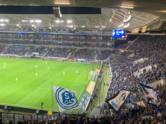 TSG Hoffenheim vs FC Schalke 04 (2-0) (5)