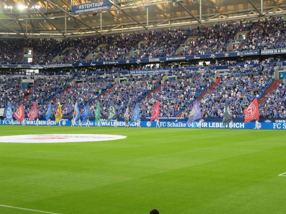 FC Schalke 04 vs Hamburger SV (1-3) (10)