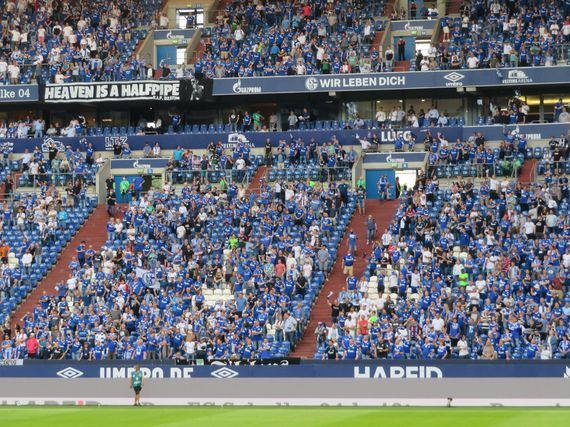 FC Schalke 04 vs Hamburger SV (1-3) (14)
