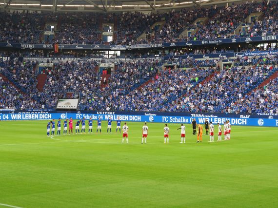 FC Schalke 04 vs Hamburger SV (1-3) (15)
