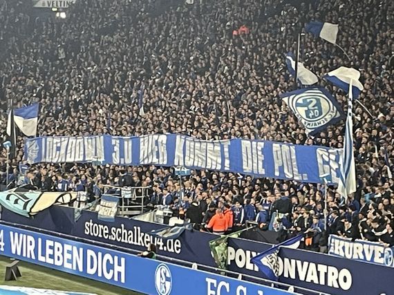 FC Schalke 04 vs Dynamo Dresden (3-0) (8)