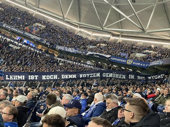 FC Schalke 04 vs Dynamo Dresden (3-0) (9)