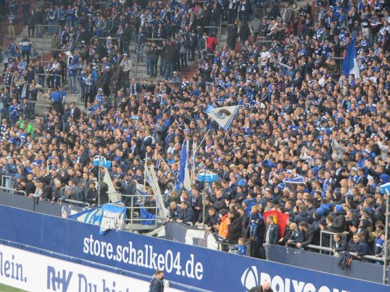FC Schalke 04 vs SV Darmstadt 98 (2-4) (6)