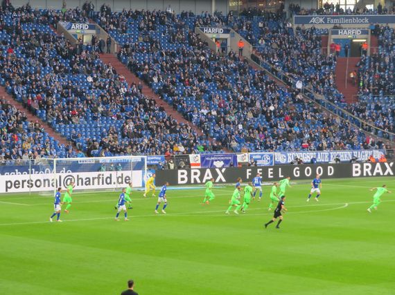 FC Schalke 04 vs SV Sandhausen (3-0) (4)