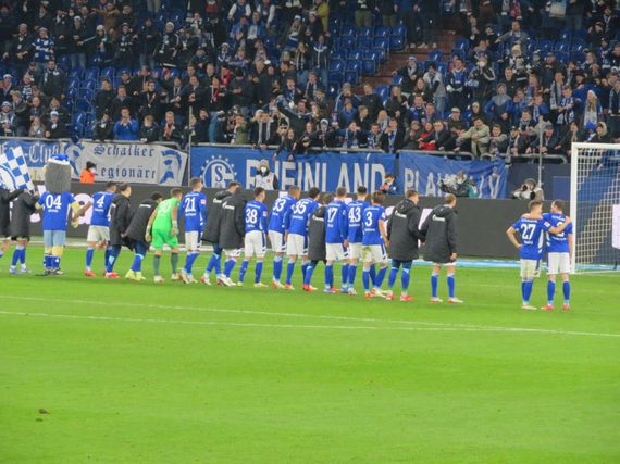 FC Schalke 04 vs 1. FC Nürnberg (4-1) (7)