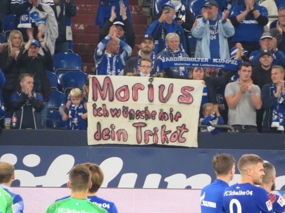 FC Schalke 04 vs FC Ingolstadt 04 (3-0) (1)