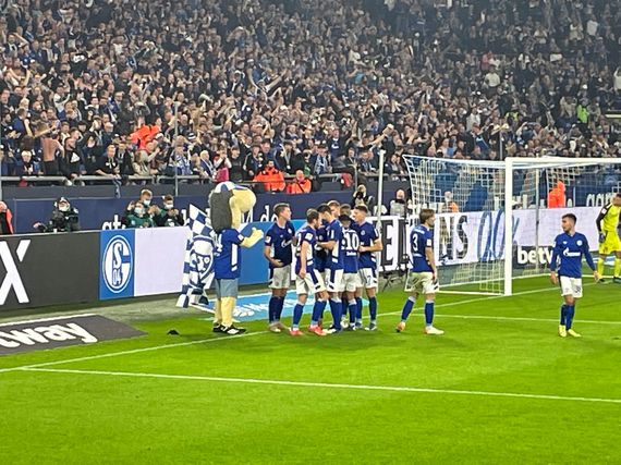 FC Schalke 04 vs FC Ingolstadt 04 (3-0) (2)