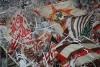 FC St. Pauli vs Bayer 04 Leverkusen (0-1)