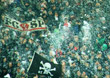FC St. Pauli vs 1. FC Köln (0-1)