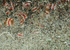 FC St. Pauli vs SpVgg Fürth (2-2)
