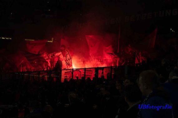 FC Schalke 04 vs Fortuna Düsseldorf (4-1) (4)