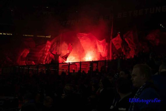 FC Schalke 04 vs Fortuna Düsseldorf (4-1) (11)