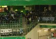 VfL Wolfsburg vs FSV Frankfurt (0-2)