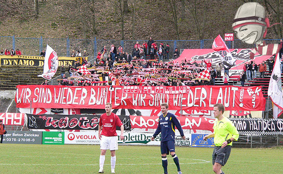 FSV Zwickau vs Hallescher FC (0-1) (6)