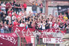 Hallescher FC vs FSV Zwickau (4-1)