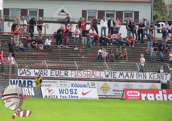 Hallescher FC vs FSV Zwickau (4-1) (5)