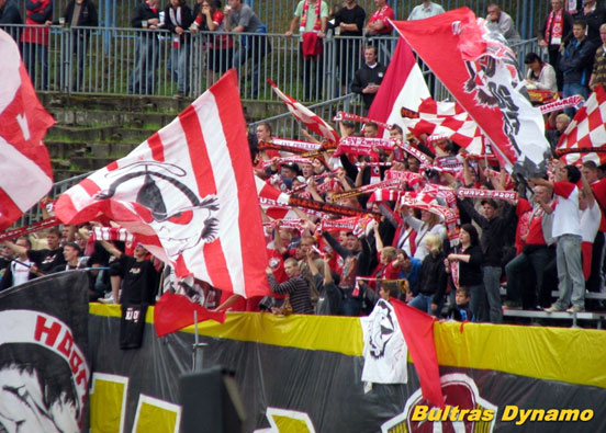FSV Zwickau vs Dynamo Dresden (1-0) (8)