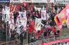 Hallescher FC vs VFC Plauen (1-1)