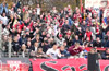 Hallescher FC vs VFC Plauen (4-1)