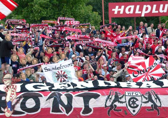 Hallescher FC vs VfB Germania Halberstadt (2-1) (14)