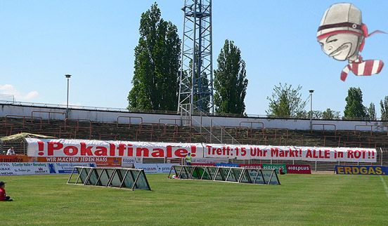 Hallescher FC vs VfB Germania Halberstadt (2-1) (5)