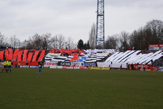 Hallescher FC vs 1. FC Magdeburg (1-0) (1)