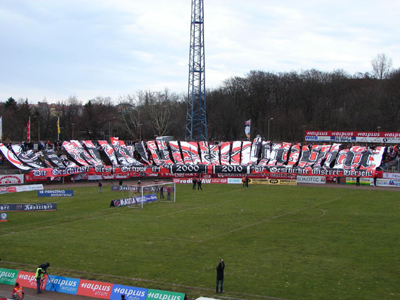 Hallescher FC vs ZFC Meuselwitz (2-0) (1)