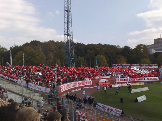 Hallescher FC vs 1. FC Magdeburg (1-1) (1)