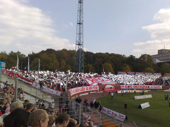 Hallescher FC vs 1. FC Magdeburg (1-1) (2)
