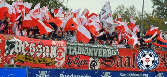 Holstein Kiel vs Hallescher FC (3-0) (3)