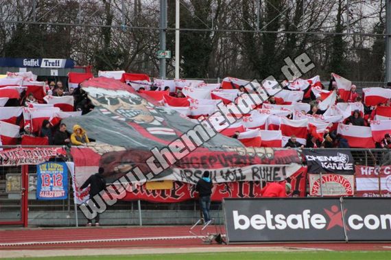 SC Fortuna Köln vs Hallescher FC (2-2) (3)