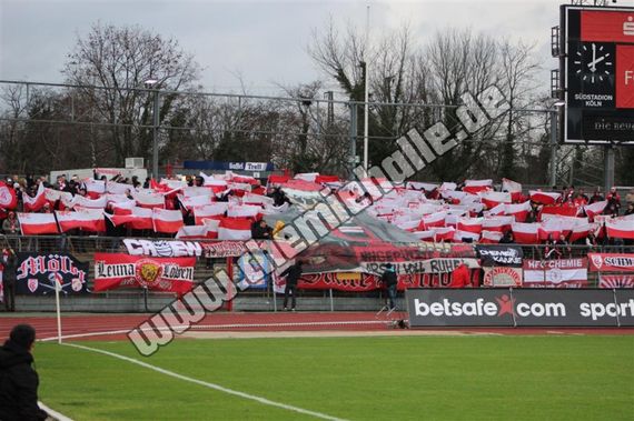 SC Fortuna Köln vs Hallescher FC (2-2) (4)