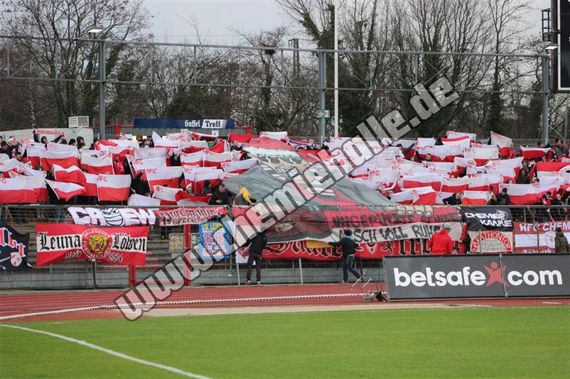 SC Fortuna Köln vs Hallescher FC (2-2) (5)