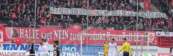 Hallescher FC vs FC Energie Cottbus (3-1) (5)