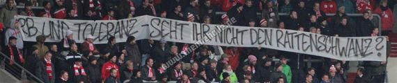 Hallescher FC vs FC Energie Cottbus (3-1) (6)