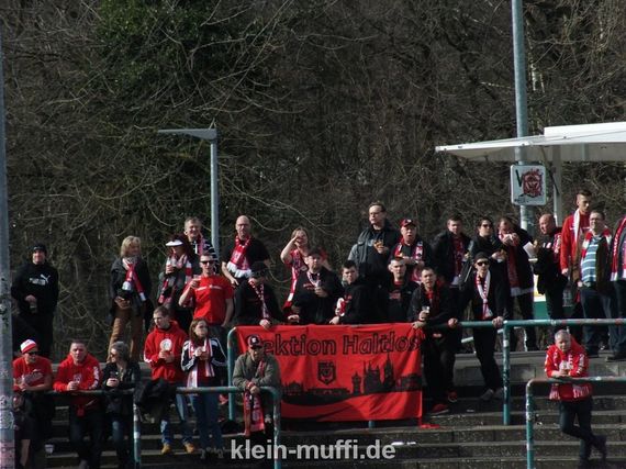 SC Preußen Münster vs Hallescher FC (1-1) (2)