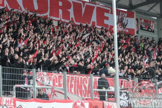 Hallescher FC vs SC Paderborn (1-1) (3)