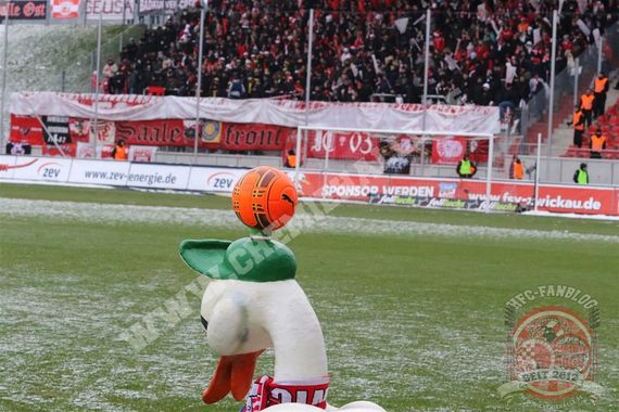 Hallescher FC vs FSV Zwickau (1-1) (6)