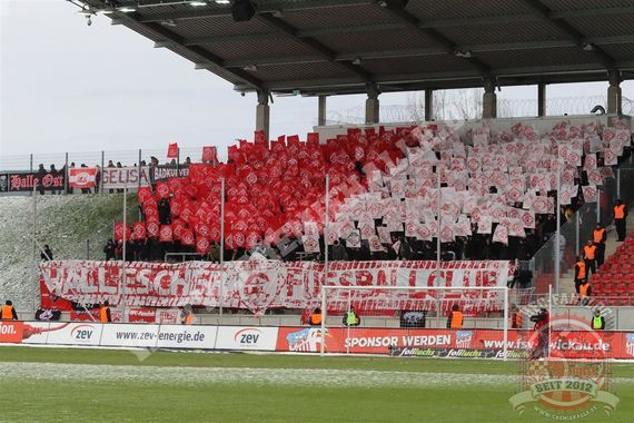 Hallescher FC vs FSV Zwickau (1-1) (8)