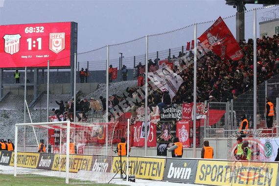 Hallescher FC vs FSV Zwickau (1-1) (17)