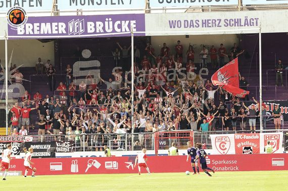 VfL Osnabrück vs Hallescher FC (3-3) (1)