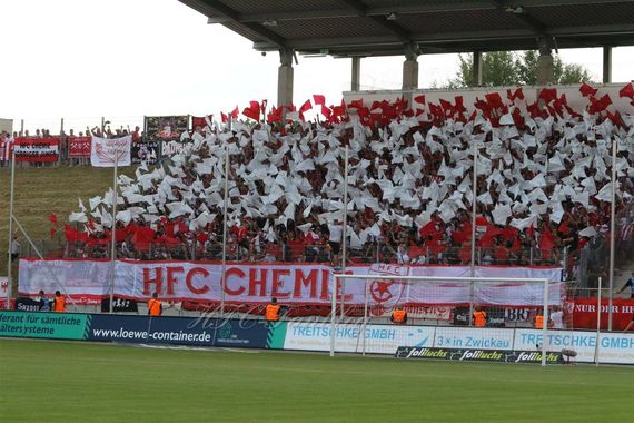 FSV Zwickau vs Hallescher FC (2-0) (1)