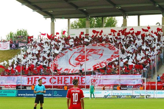 FSV Zwickau vs Hallescher FC (2-0) (9)