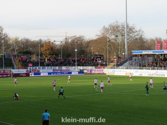 SC Preußen Münster vs Hallescher FC (1-2) (4)